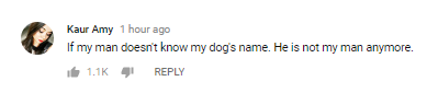 Στιγμιότυπο σχολίου στο YouTube από την χρήστη Kaur Amy.