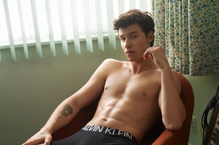 Shawn Mendes