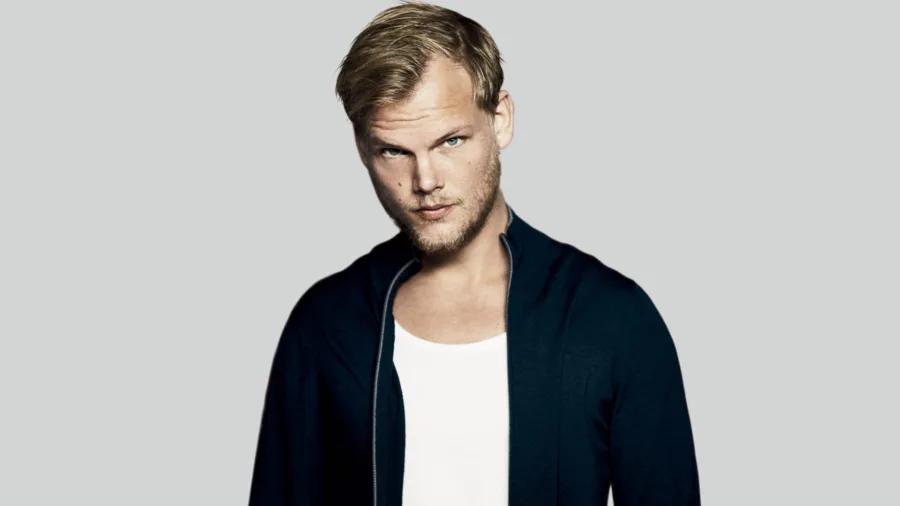 Tim Bergling Foundation