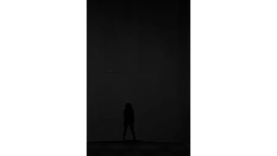Σιλουέτα καλλιτέχνη στη σκηνή του MadWalk 2019.