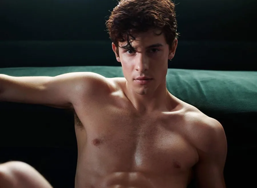 O Shawn Mendes ποζάρει με τα εντελώς απαραίτητα!