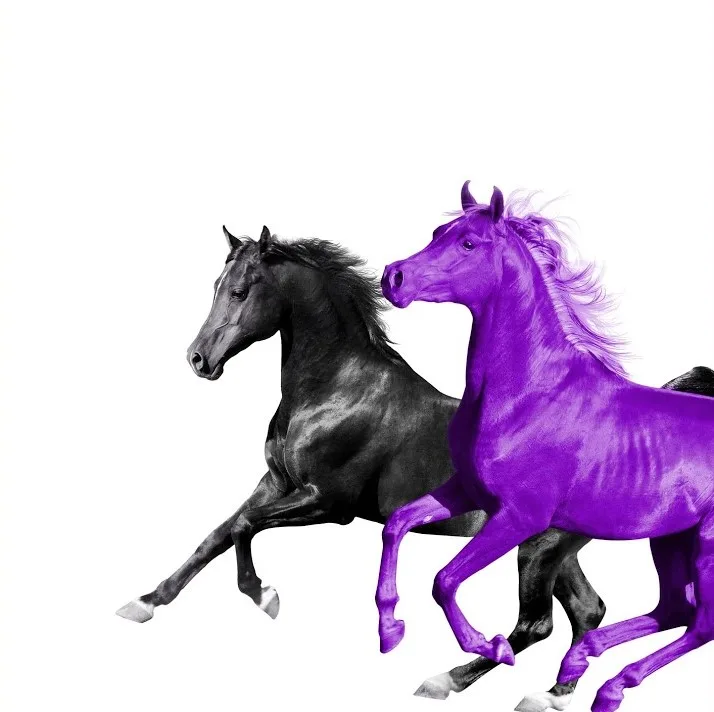 Lil Nas X και ο RM των BTS