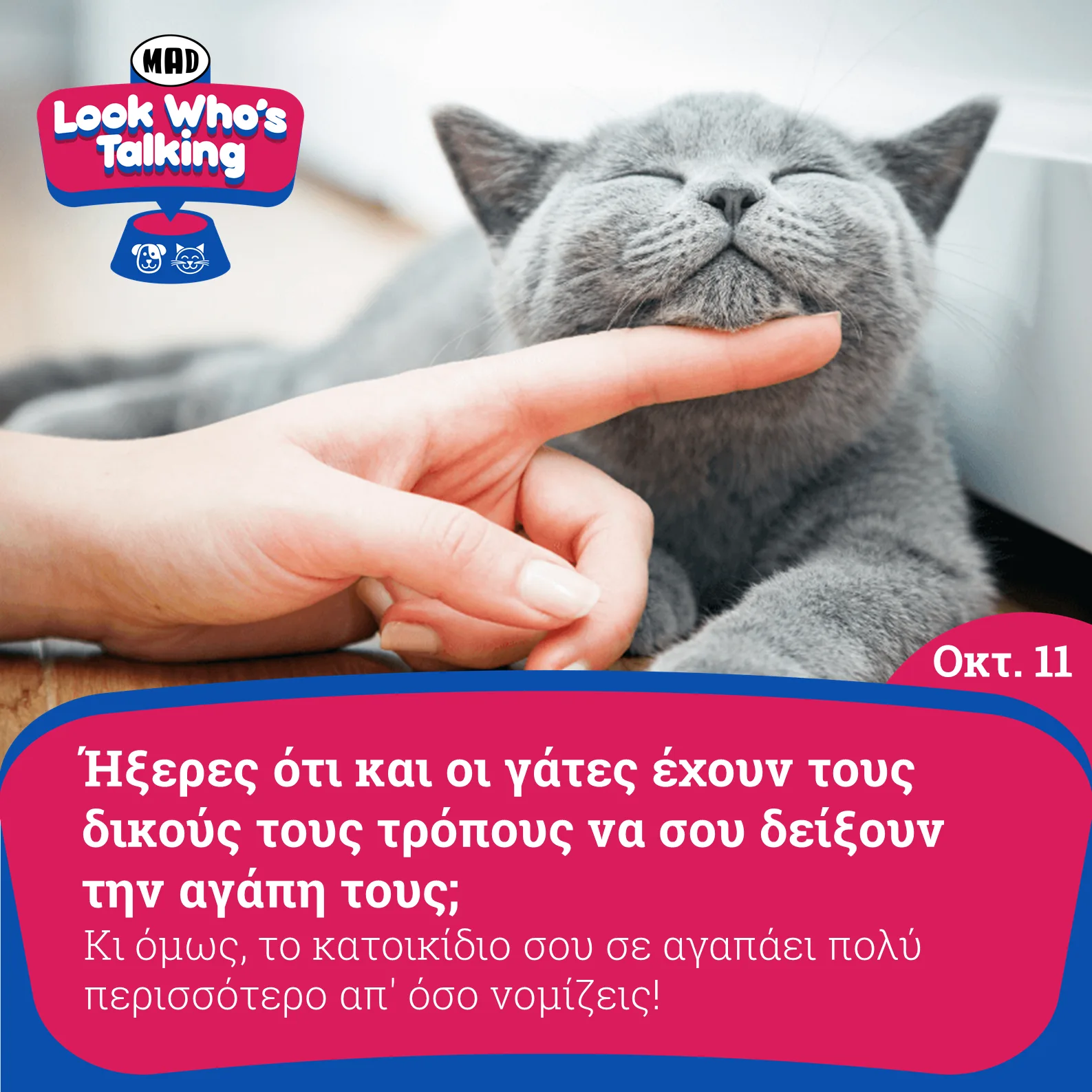 Μια γκρίζα γάτα κλείνει τα μάτια της καθώς ένα χέρι την χαϊδεύει κάτω από το πηγούνι.