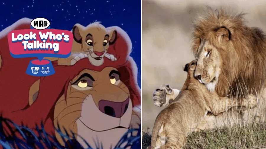 Disney ζωάκια ήρωες