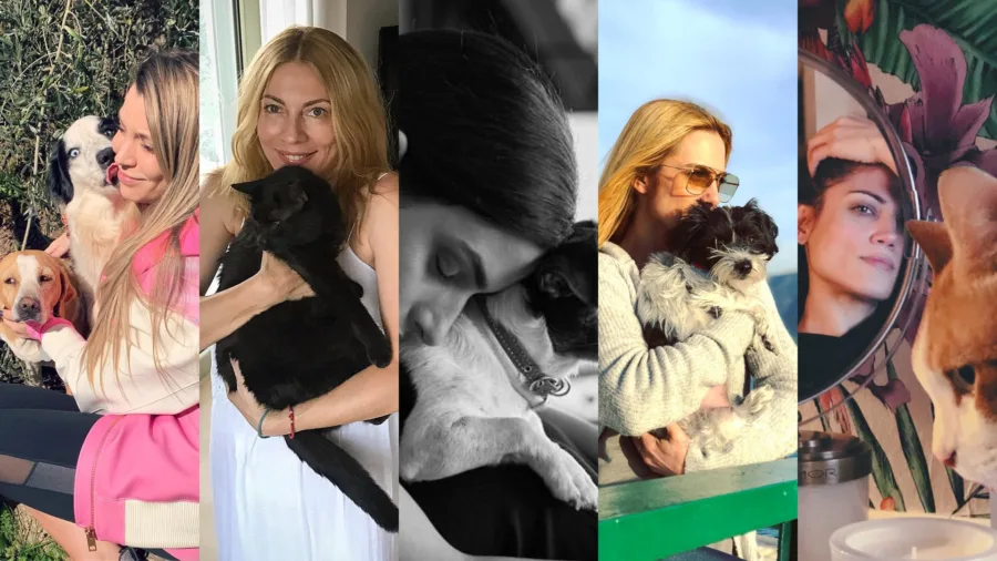 Πέντε Ελληνίδες celebrities, που υιοθέτησαν αδέσποτα www.mad.gr
