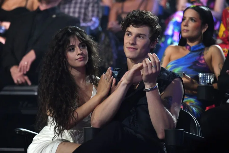 Η Camila Cabello ήταν ερωτευμένη με τον Shawn Mendes από το 2015