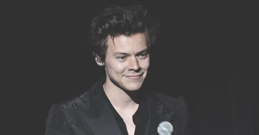 Harry Styles The Little Mermaid