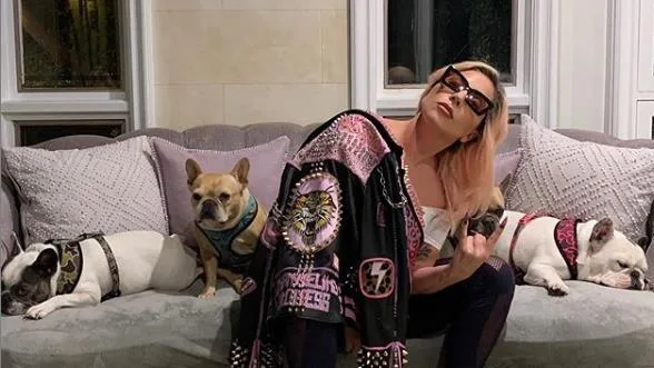 H Lady Gaga έδωσε το καλό παράδειγμα και αποφάσισε να μπει σε καραντίνα!