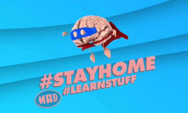#STAYHOME & #LEARNSTUFF