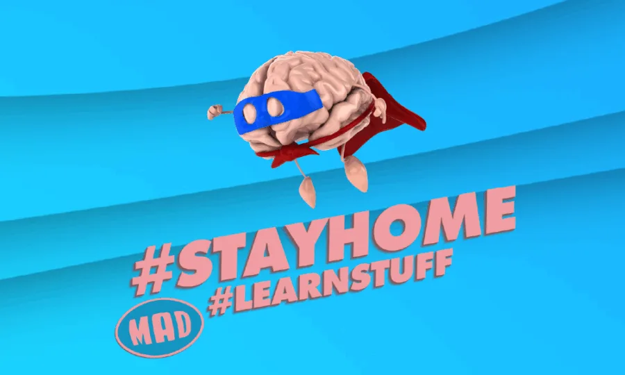 #STAYHOME & #LEARNSTUFF
