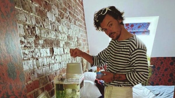 O Ηarry Styles βρέθηκε σε σπίτι θαυμάστριάς του ενώ εκείνη έλειπε!