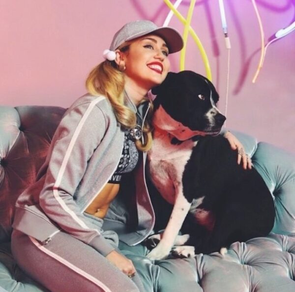 H Miley Cyrus «έχασε» το αγαπημένο της σκυλάκι