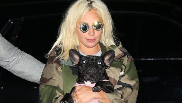 Απήγαγαν τα 2 σκυλιά της Lady Gaga!