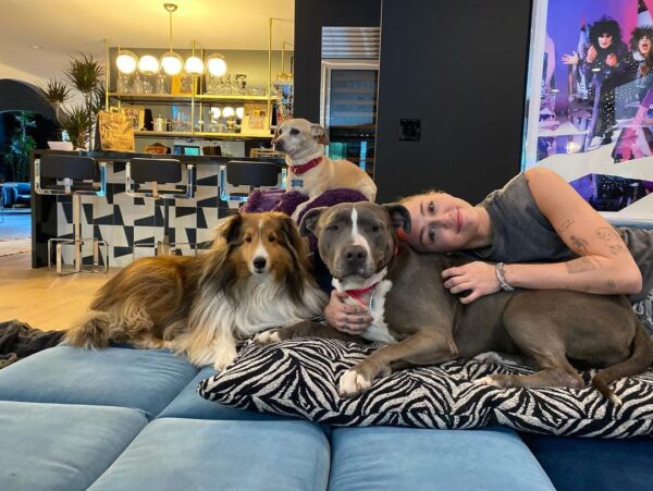 H Miley Cyrus υιοθέτησε νέο σκυλάκι!