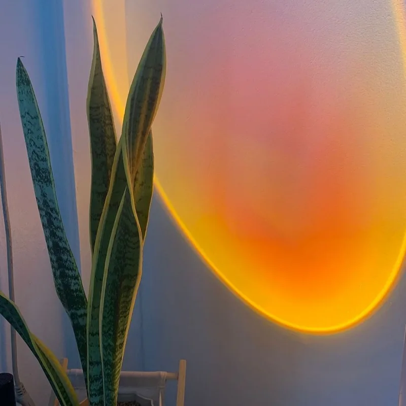 sunsets-lamps2