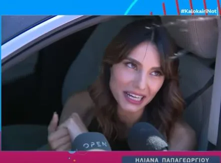 Η Ηλιάνα Παπαγεωργίου μέσα σε αυτοκίνητο μιλάει σε δημοσιογράφους.