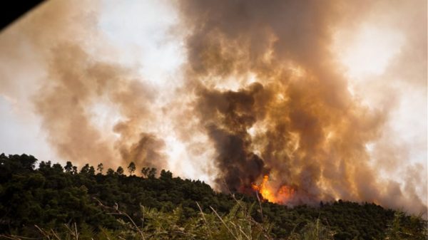 Φωτιά στην Βαρυμπόμπη: Μεγάλη αναζωπύρωση