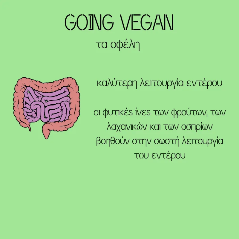Infographic για τα οφέλη της vegan διατροφής στο έντερο.