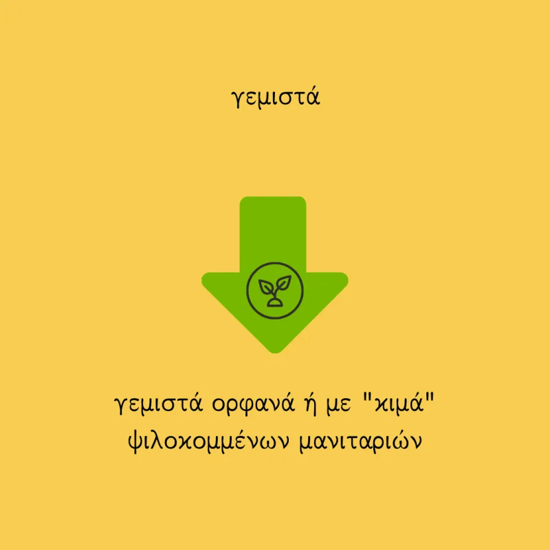 Γραφικό με κείμενο για vegan γεμιστά σε κίτρινο φόντο.
