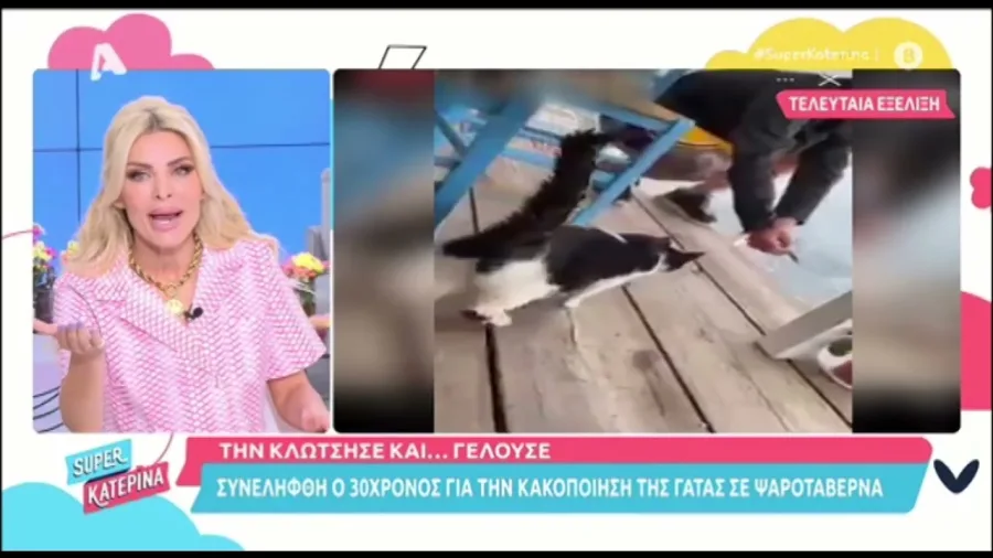 Η Κατερίνα Καινούργιου στην εκπομπή Super Κατερίνα με πλάνο από περιστατικό κακοποίησης γάτας.