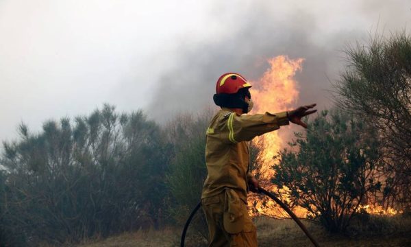 Φωτιά στην Πεντέλη: Αλλαγές στα δρομολόγια λεωφορείων του ΟΑΣΑ