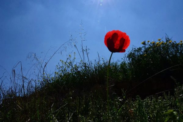Πάσχα 2023: Τι καιρό θα κάνει όλη τη Μεγάλη Εβδομάδα;