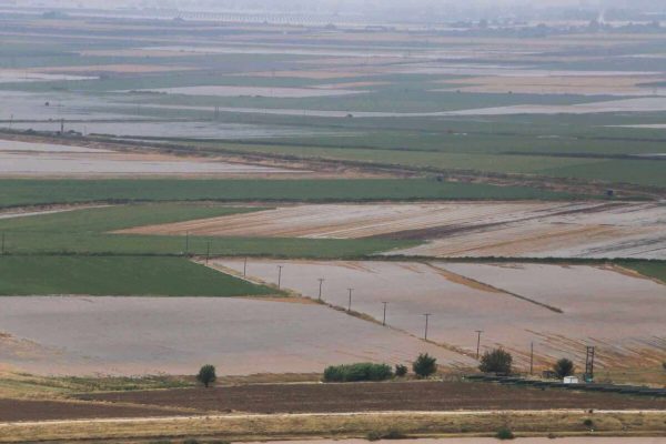 Θεσσαλία: Ψυχολόγοι και κοινωνικοί λειτουργοί παρέχουν τηλεφωνική υποστήριξη