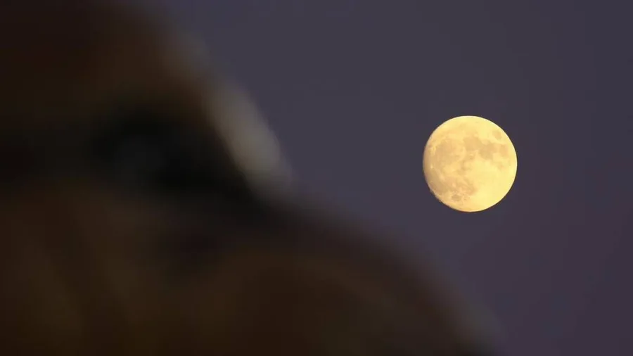 Η πανσέληνος του Ιανουαρίου, γνωστή ως Φεγγάρι του Λύκου, στον νυχτερινό ουρανό.