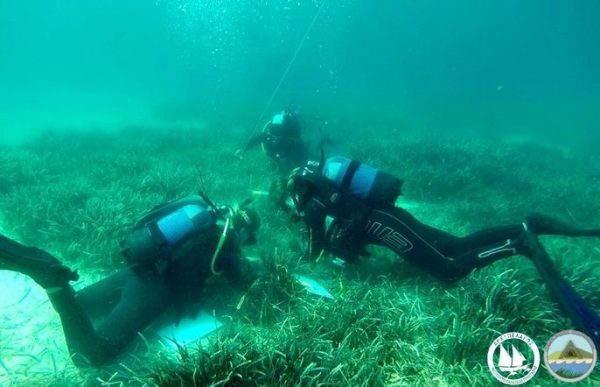 Δύτες του Ινστιτούτου Αρχιπέλαγος πραγματοποιούν υποβρύχια έρευνα σε λιβάδια Ποσειδωνίας.