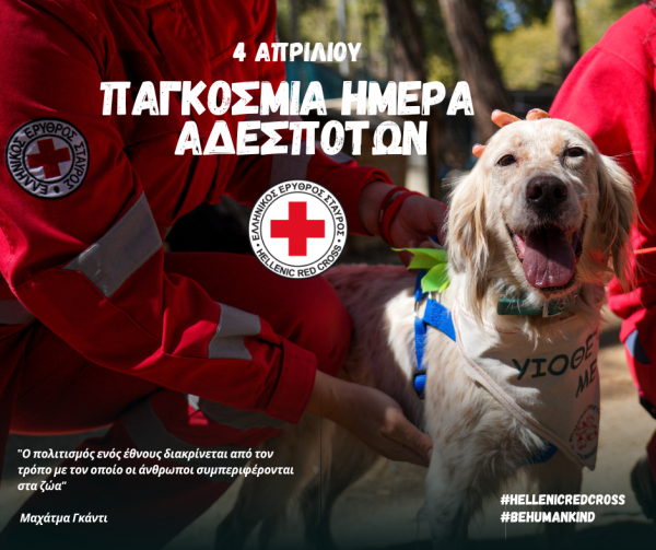 Ελληνικός Ερυθρός Σταυρός: Τιμά την Παγκόσμια Ημέρα Αδέσποτων Ζώων με μεγάλη δράση στον Πειραιά