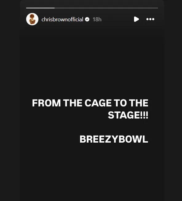 Ο Chris Brown σε φωτογραφία από τον επίσημο λογαριασμό του στο Instagram.