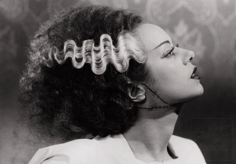 Η Elsa Lanchester ως η Νύφη του Φρανκενστάιν σε προφίλ.