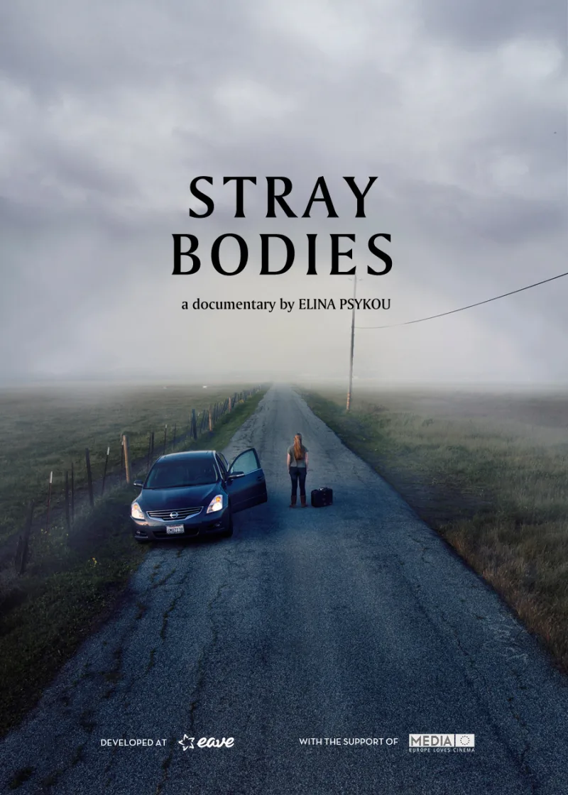 Αφίσα του ντοκιμαντέρ Stray Bodies της Ελίνας Ψύκου.