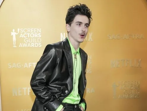 Ο ηθοποιός Timothée Chalamet, πρωταγωνιστής της νέας ταινίας του James Mangold.