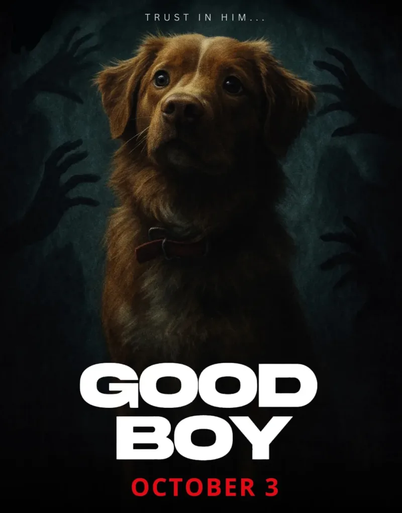 Good Boy