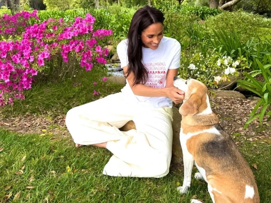 Meghan Markle