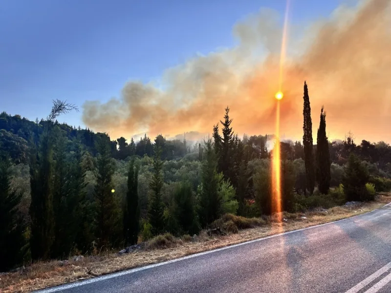 Δραματικές εικόνες από τα πύρινα μέτωπα και τις πυρκαγιές που μαίνονται σε όλη την Ελλάδα.