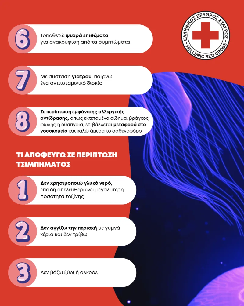 Οδηγίες του Ελληνικού Ερυθρού Σταυρού για τσίμπημα από μωβ μέδουσα.