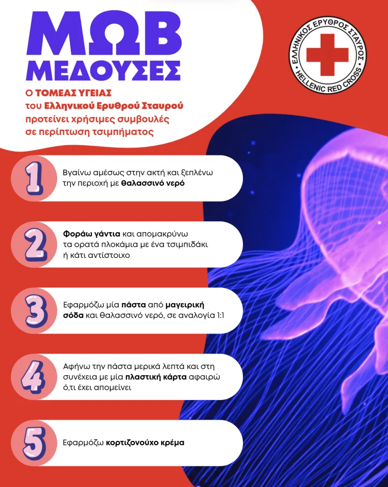 Ενημερωτικό γράφημα του Ελληνικού Ερυθρού Σταυρού για τσιμπήματα από μωβ μέδουσες.