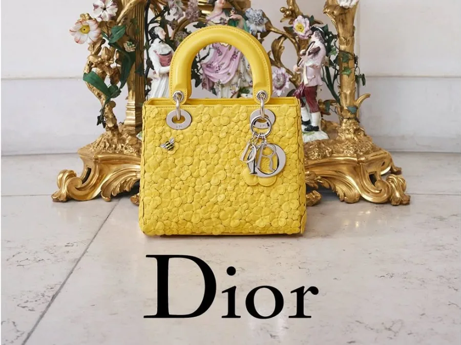 dior_anderson