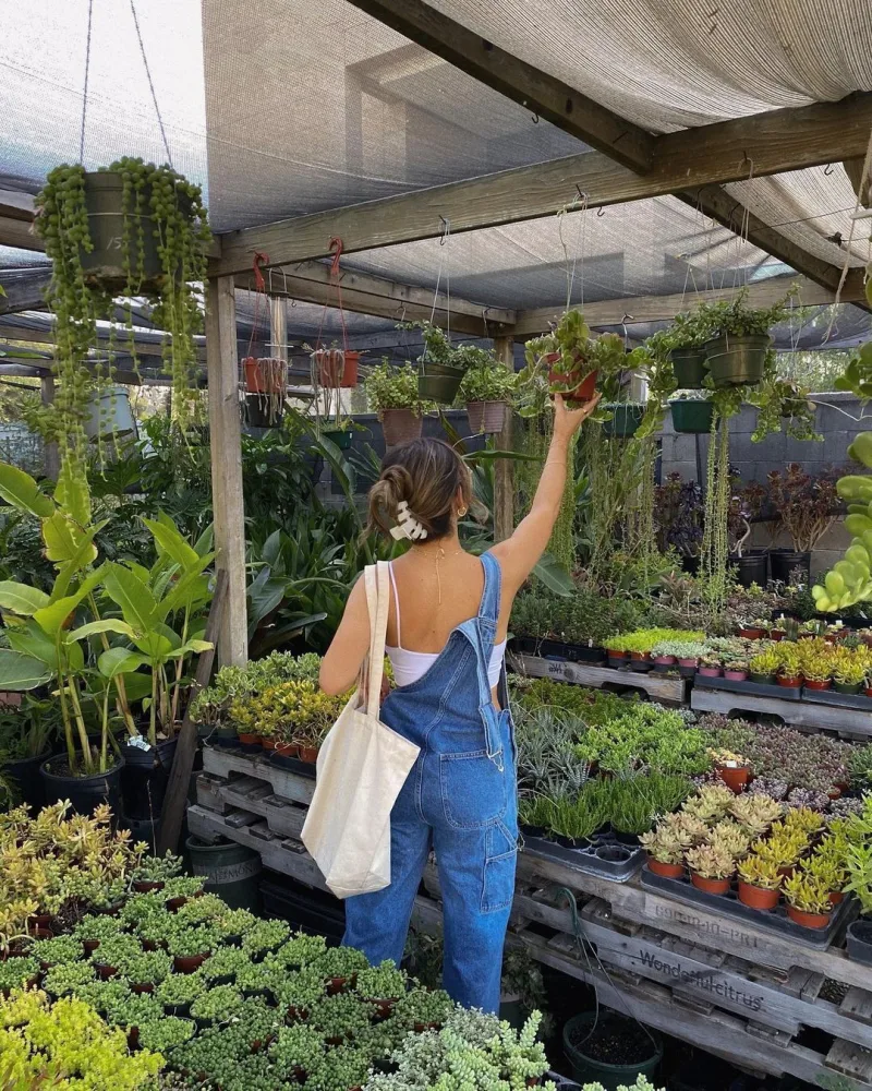 Plant Parenting: Γιατί η Gen Z μεγαλώνει φυτά σαν να είναι παιδιά της