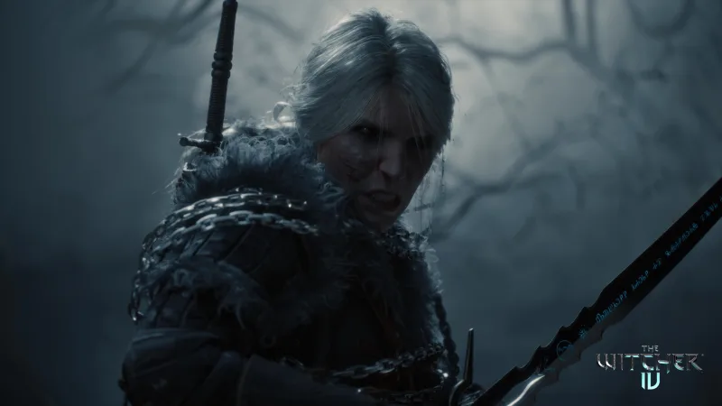 The Witcher