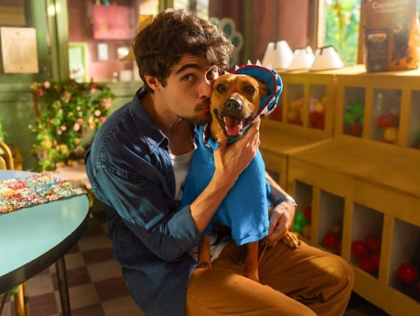 Πιάσε χαρτομάντηλα! Η νέα viral ταινία του Netflix που ενθαρρύνει την υιοθεσία αδέσποτων ζώων