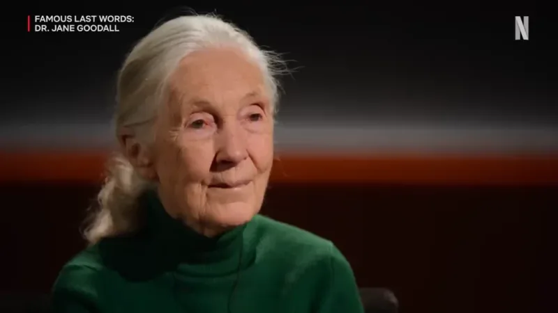 Famous Last Words: Η σειρά του Netflix που βλέπει το φως μόνο μετά τον θάνατο των πρωταγωνιστών της
