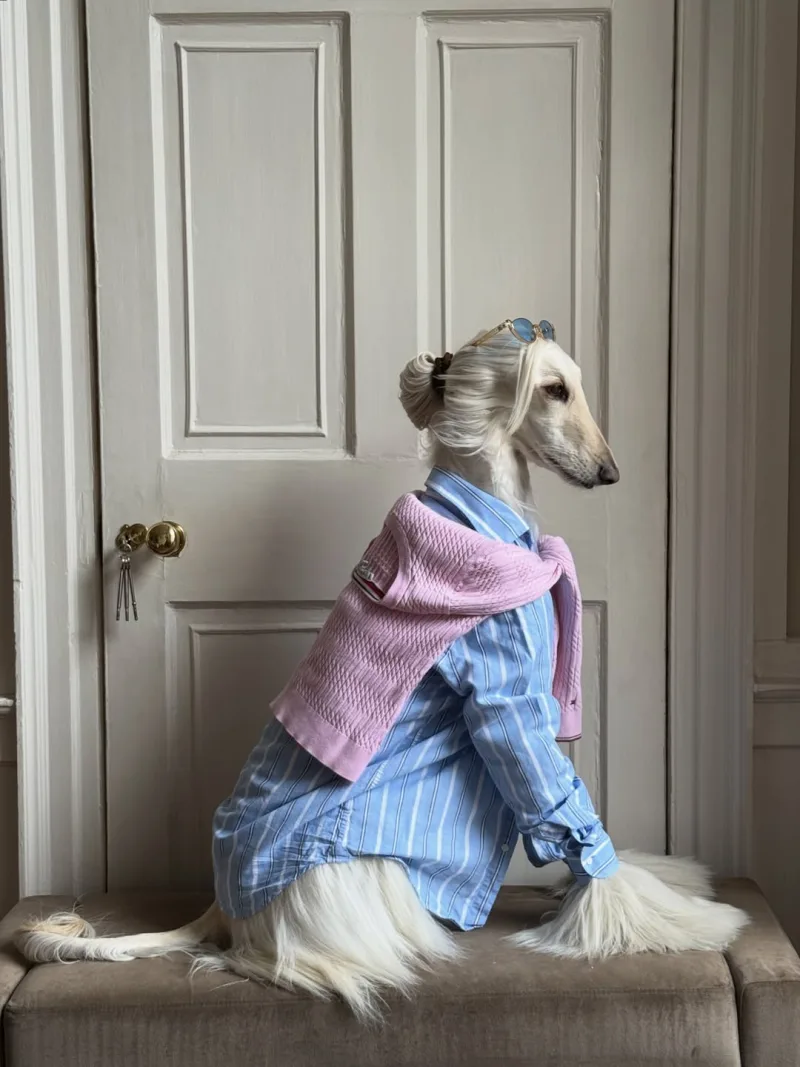 fashion_skilos
