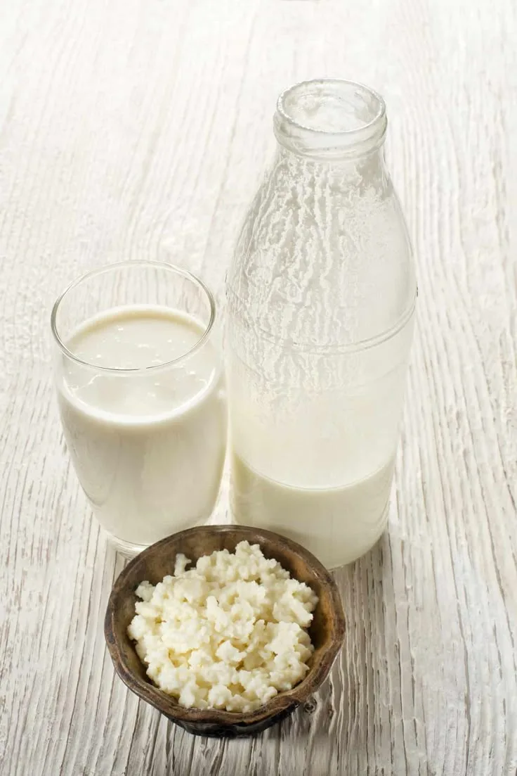 kefir