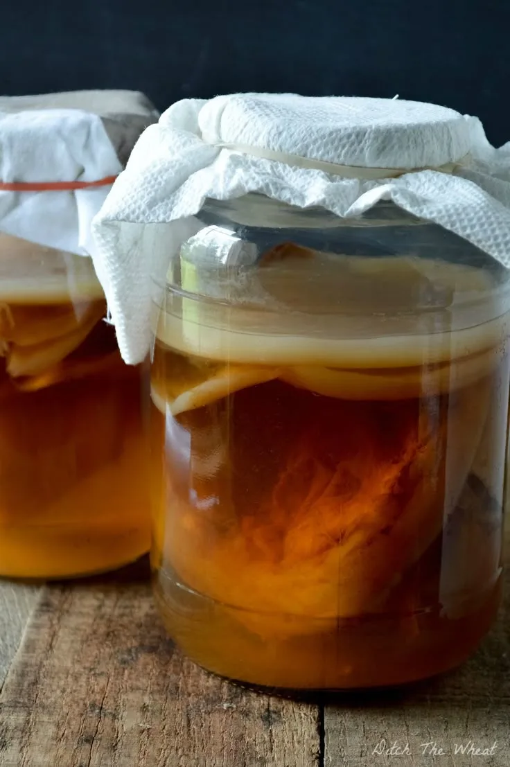 kombucha