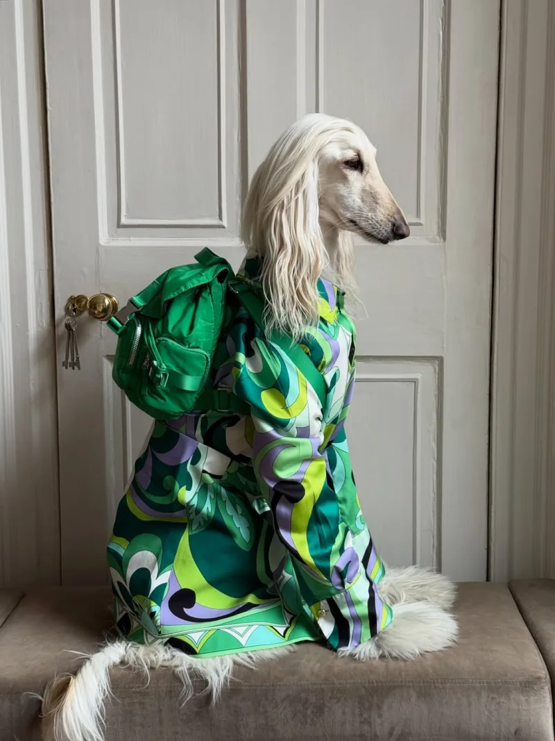 skilos_fashion