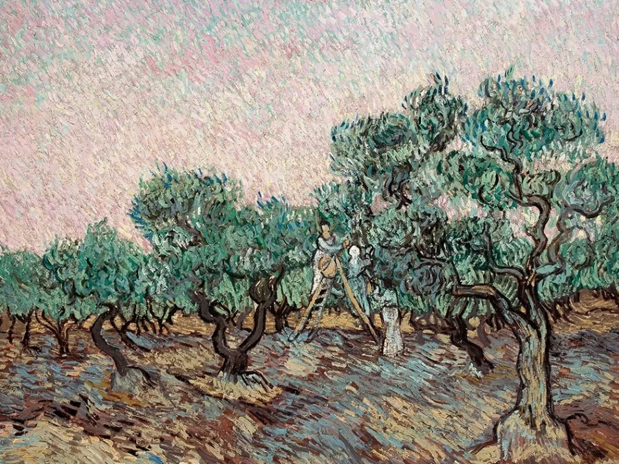 Ο πίνακας Olive Picking του Vincent van Gogh από τη συλλογή του Μουσείου Γουλανδρή.