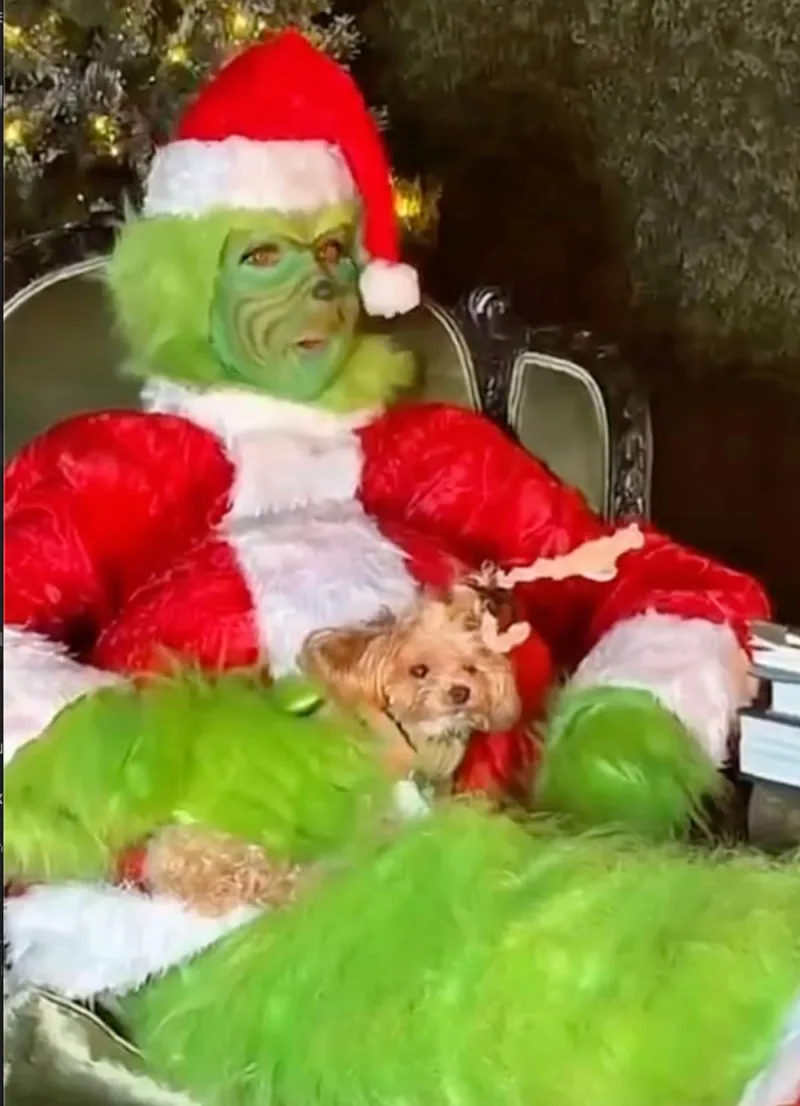Η Céline Dion μεταμφιεσμένη σε Grinch με στολή Άγιου Βασίλη και ένα μικρό σκυλάκι.